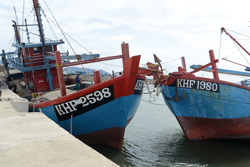 Dalam 10 tahun, Indonesia kehilangan 115 perusahaan eksportir ikan