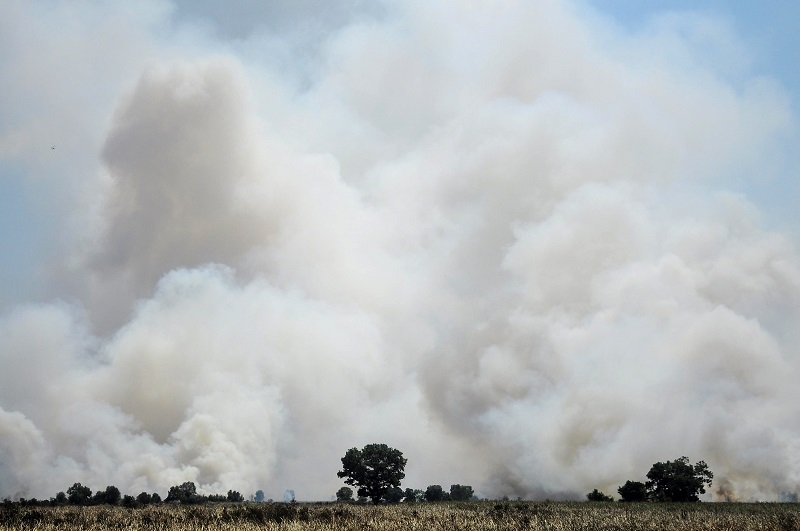 Polisi selidiki keterlibatan korporasi dalam kebakaran hutan