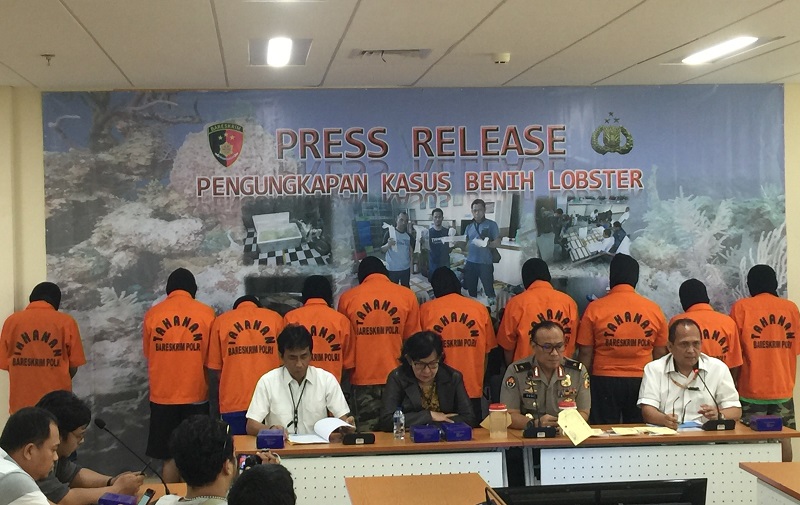 Polisi bongkar sindikat penyelundup benih lobster senilai Rp8,5 miliar