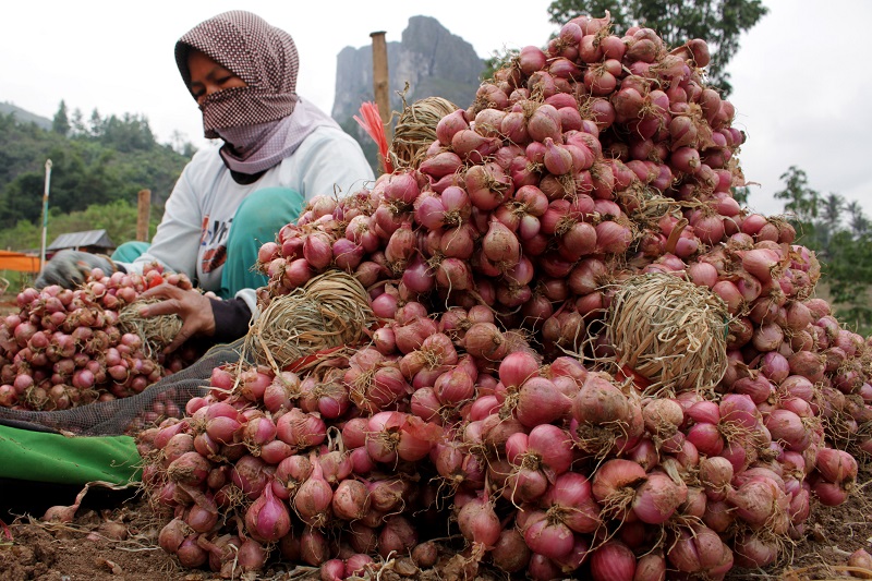 Puluhan ton bawang merah ilegal asal Malaysia gagal banjiri Aceh