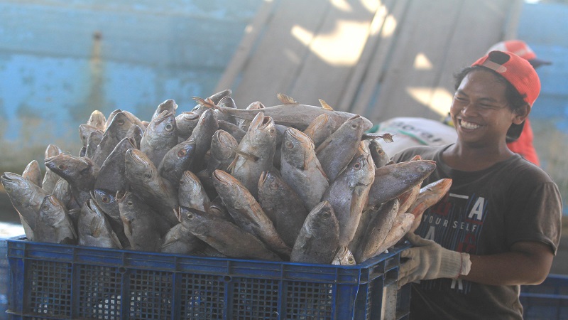 Indonesia berpotensi tingkatkan ekspor ikan ke AS