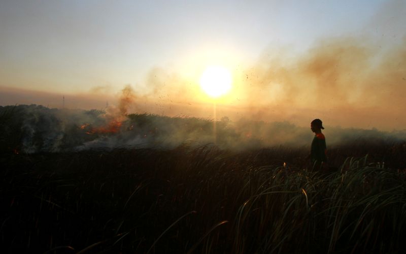 Polisi tetapkan dua korporasi tersangka kasus kebakaran hutan