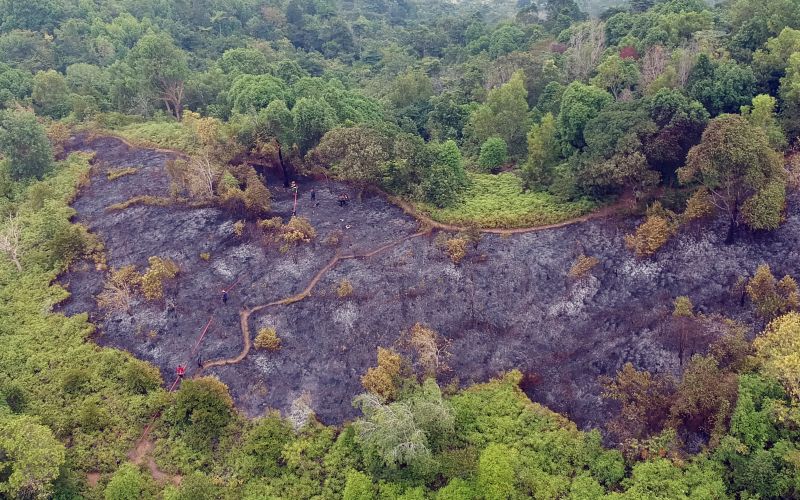 Waspadai akal bulus perusahaan pembakar hutan