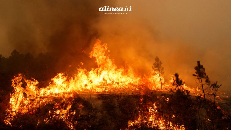 Kebakaran hebat di hutan Indonesia pada 1982-1983