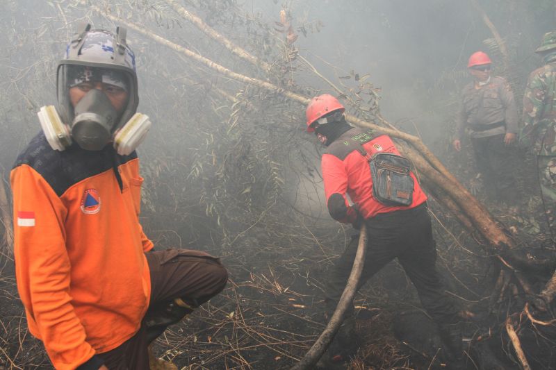 Titik api karhutla meningkat di Kalimantan dan Sumatera Selatan