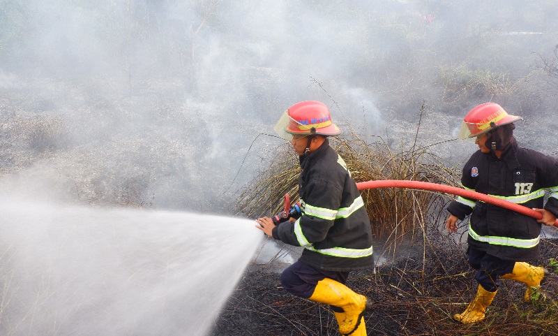 Dampak kebakaran hutan, 57 sekolah di Selangor diliburkan 