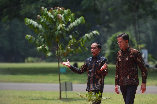 Berkemeja batik, PM Belanda bertemu Presiden Jokowi