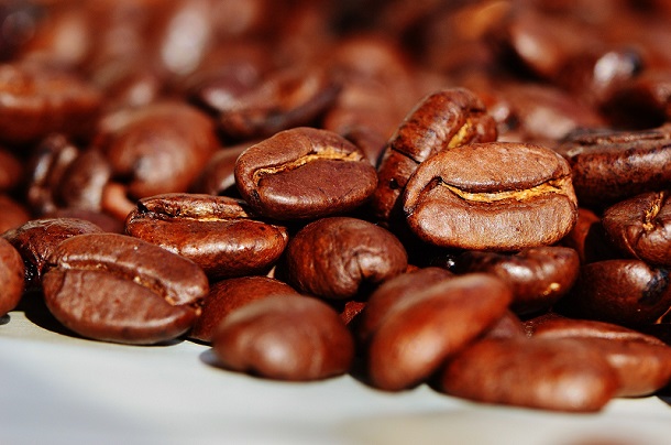 Tingkatkan ekspor, KJRI SF bawa pengusaha kopi AS ke Tana Toraja