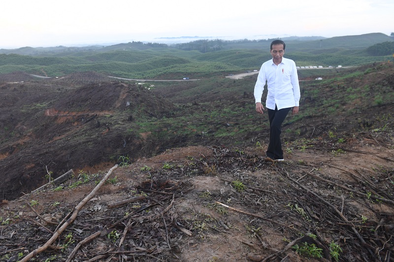 Percepat pembangunan Papua, Jokowi bakal keluarkan Inpres baru