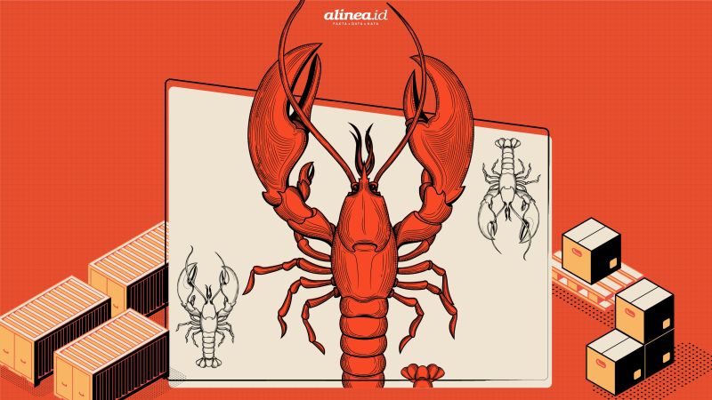 Bola liar wacana ekspor benih lobster dan usaha pembudidayaan