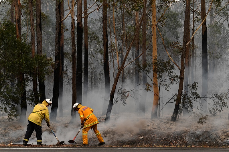 Kebakaran hutan Australia hanguskan 3 kediaman WNI