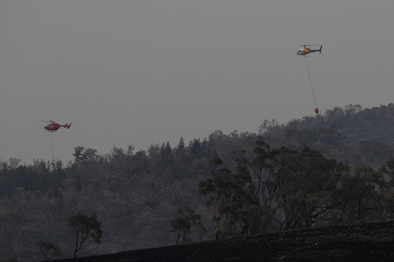 Kebakaran hutan di New South Wales  terkendali