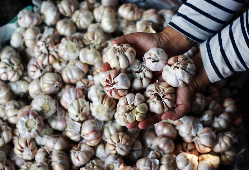 Kementan terbitkan rekomendasi impor bawang putih 344.094 ton