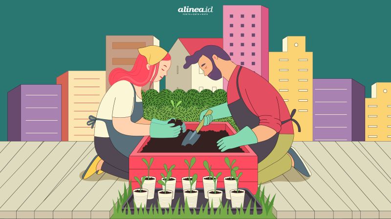 Urban farming, hobi penangkal krisis pangan  