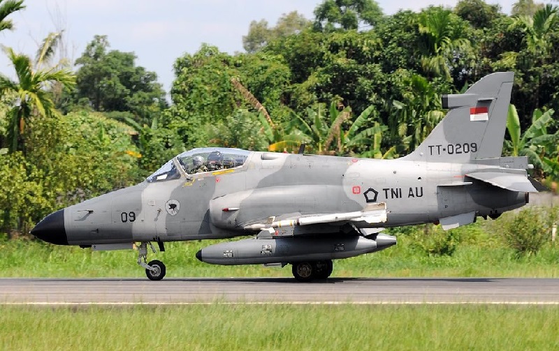 Pesawat tempur TNI jatuh di Riau, pilot selamat