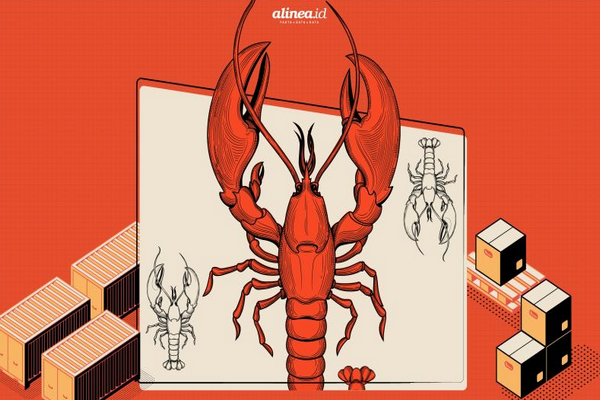 Politisi ikut 'main' lobster, KIARA: Nelayan hanya jadi korban eksploitasi