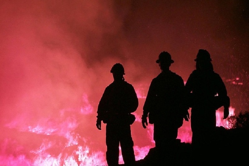 Lebih dari 7.000 orang dievakuasi akibat kebakaran hutan di California