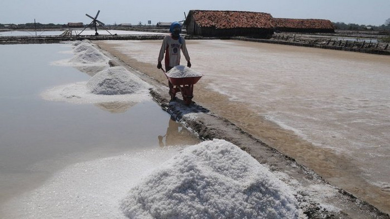 Pemerintah diminta serius kembangkan garam industri