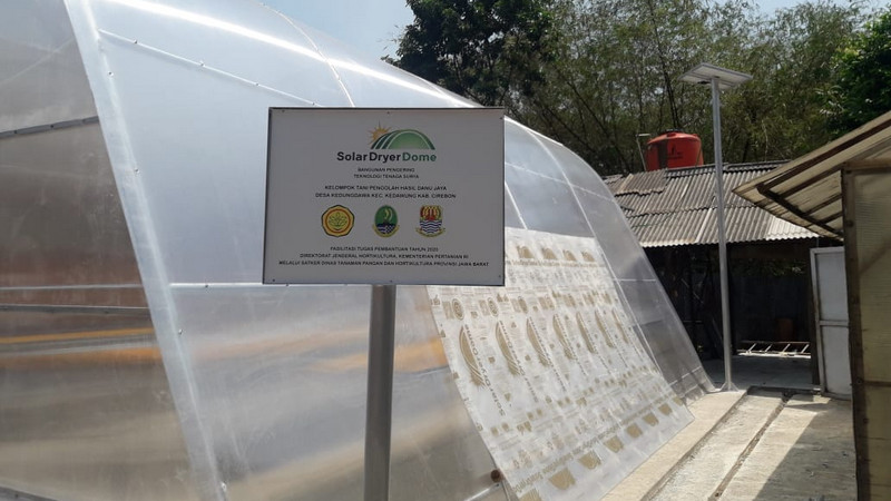 Olahan mangga Cirebon kian higienis berkat <i>solar dryer</i> Kementan