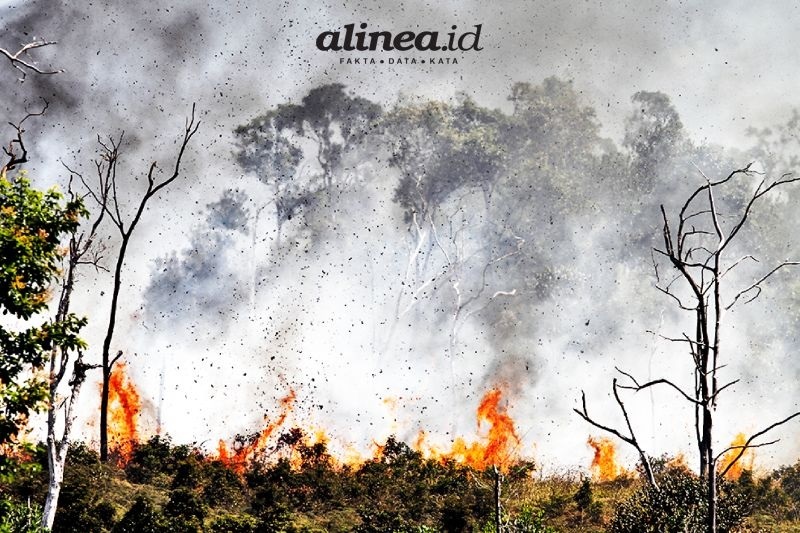 Artikel tentang dampak kebakaran hutan terhadap sistem pernapasan manusia