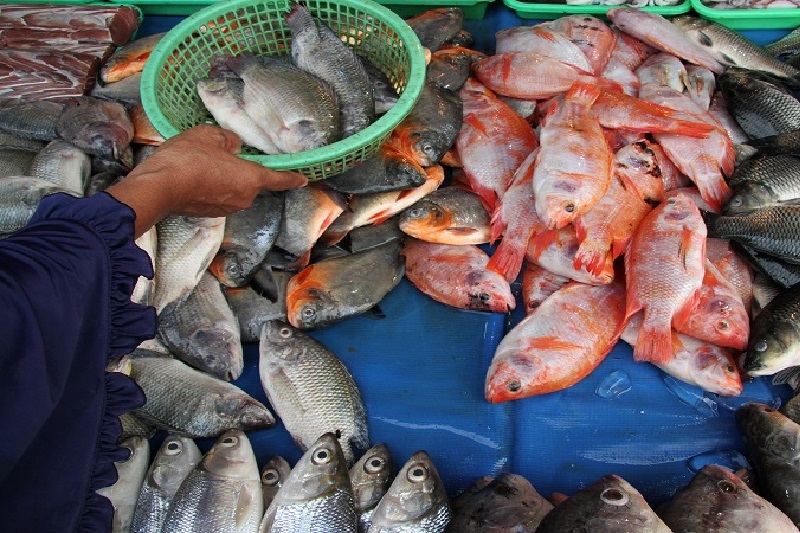KKP beri pinjaman Rp19,81 miliar bagi koperasi pembudi daya ikan dan udang