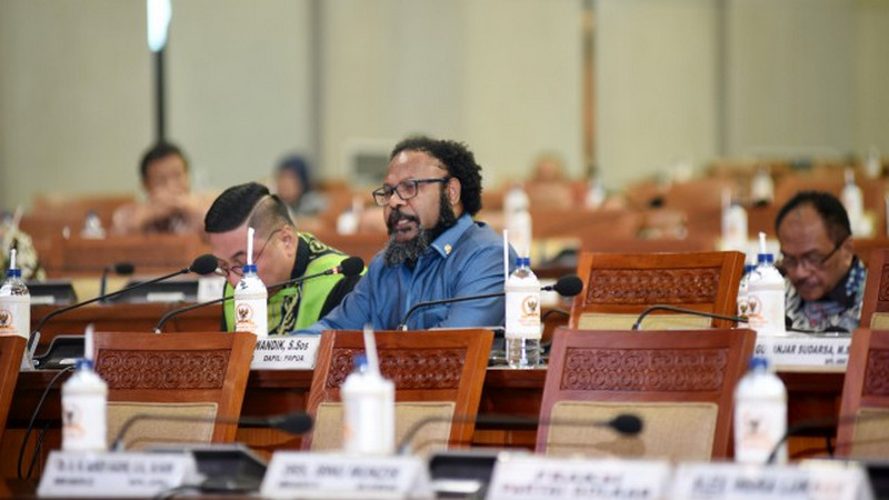 Fraksi Demokrat DPR: Otsus Papua tidak memiliki roh