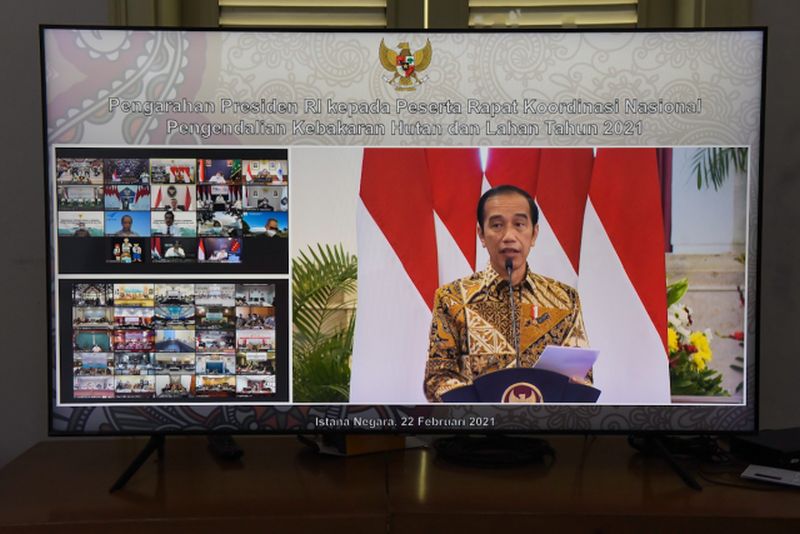 6 arahan Presiden Jokowi dalam pengendalian karhutla 2021