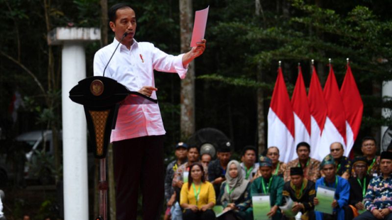 Jokowi Presiden, wajar disambut massa