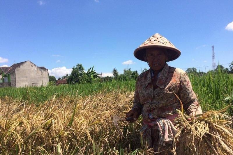 PKS tolak rencana pemerintah impor 1 juta ton beras