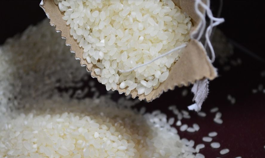 Badan Pangan Nasional dinilai solusi sengkarut kebijakan impor beras