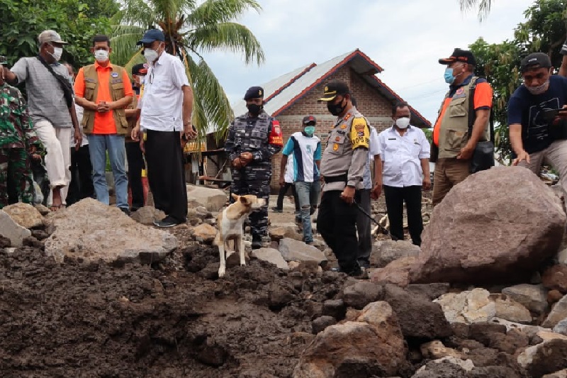 Cari korban siklon tropis Seroja, BNPB kerahkan SAR dog 
