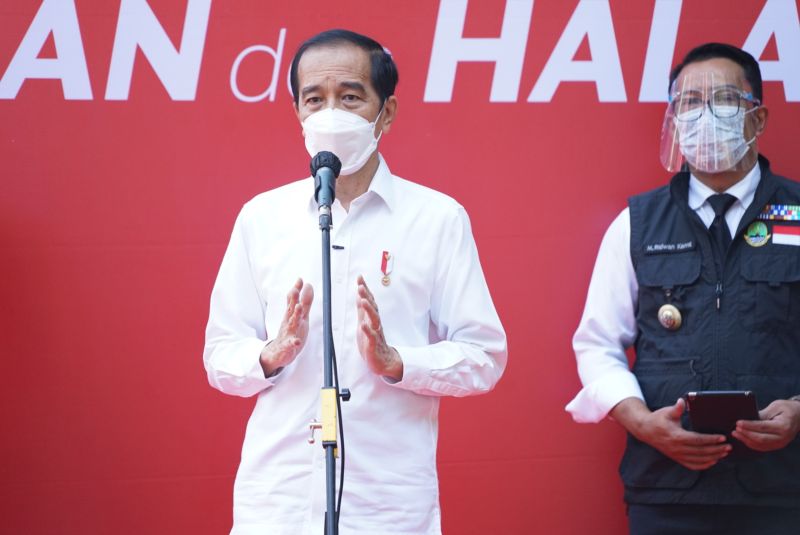 Survei: Jokowi bekerja tanpa melibatkan Ma'ruf Amin