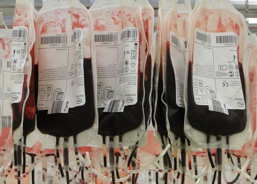 Kemendagri ungkap jumlah golongan darah penduduk yang cerdas