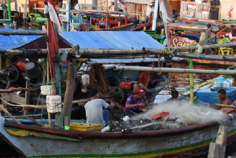 Pemerintah genjot industri perikanan Indonesia bagian Timur