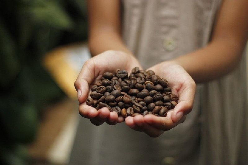 Krisis pangan, harga teh dan kopi di Korut sentuh US$100