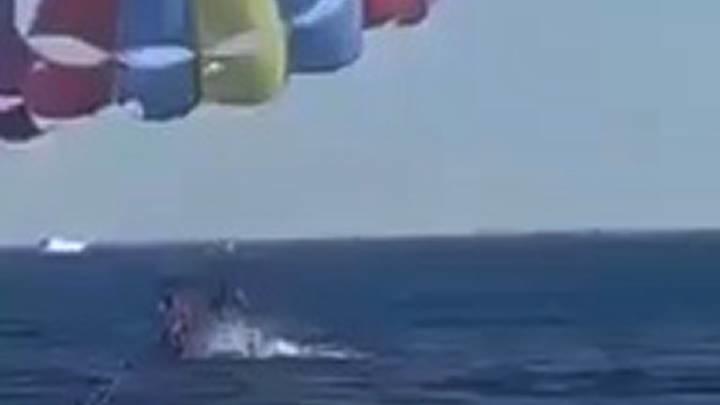 Pria main paralayang, tiba-tiba hiu melompat dari laut dan memangsanya