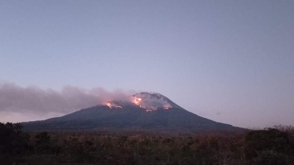Erupsi Gunung Ile Lewotolok sebabkan kebakaran hutan dan lahan
