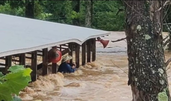 Rekor hujan terlebat, 22 tewas di Tennessee karena banjir bandang