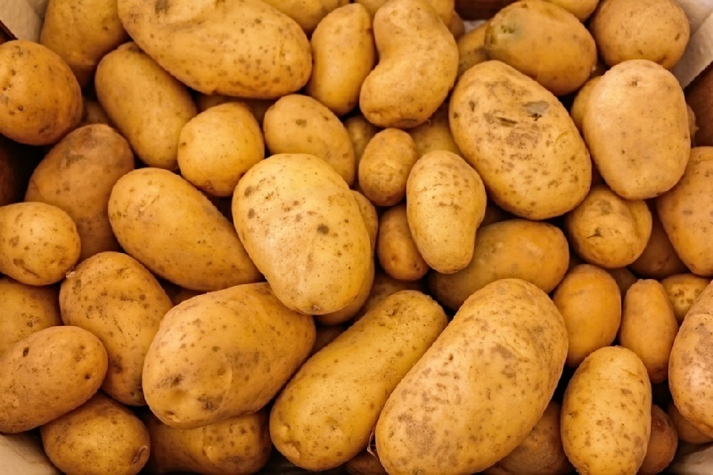 Ini penjelasan pakar mengenai belum terkenalnya olahan kentang