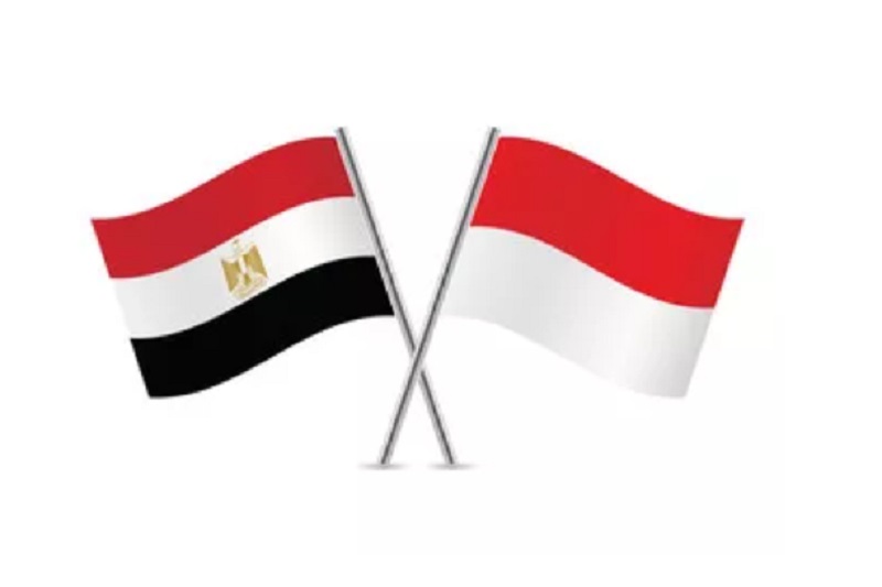 Indonesia jajaki potensi bisnis dan perdagangan dengan pengusaha Mesir
