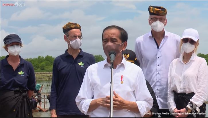 Jokowi tanam mangrove bareng para dubes di Kaltara