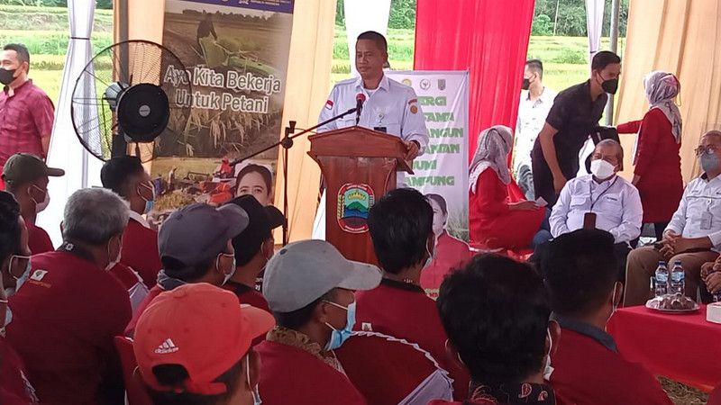 Balitbangtan dongrak produktivitas padi Lampung via perbenihan VUB