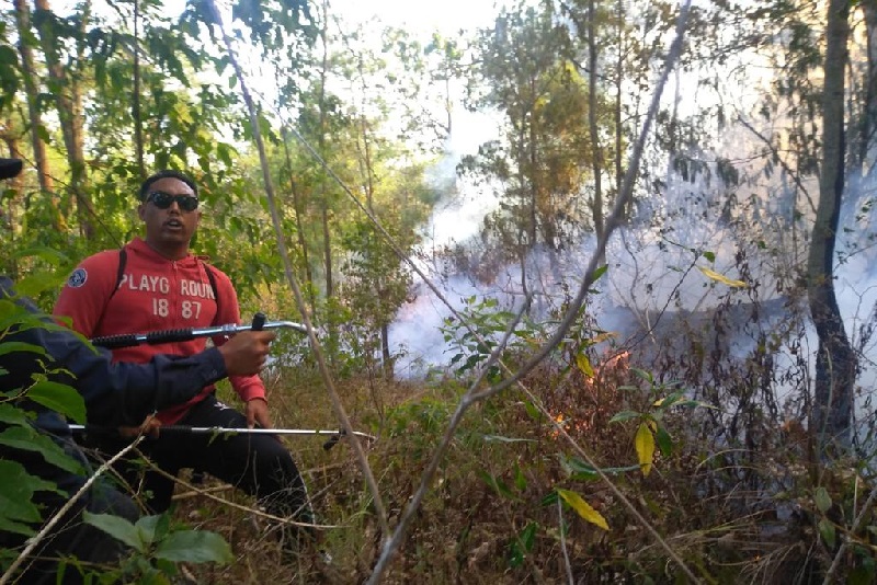 Api di Taman Wisata Alam Gunung Batur Bukit Payang berhasil dipadamkan