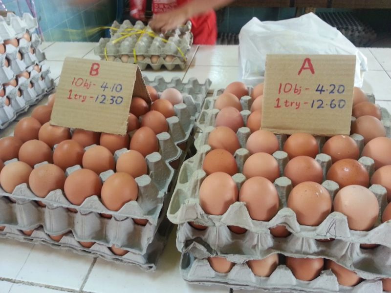 Rendahnya harga telur dan ayam, Ombudsman: Kami akan investigasi