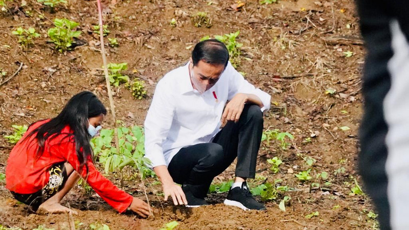 Jokowi minta masyarakat rawat Kawasan Hutan Gunung Pepe