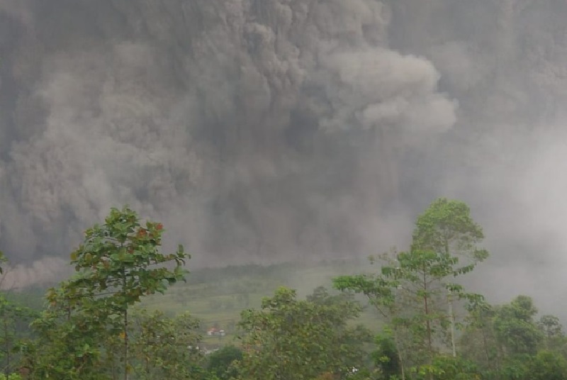 Guguran awan panas Gunung Semeru mengarah ke Besuk Kobokan