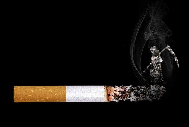 Dampak rokok juga merugikan lingkungan