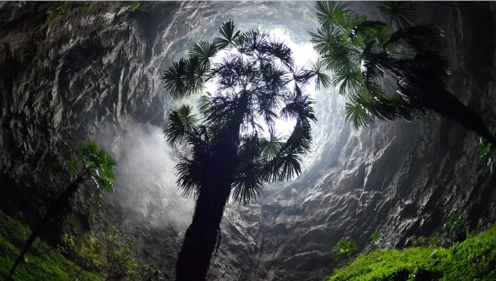 Penjelajah gua menemukan lubang berisi hutan purba raksasa sedalam 192 meter
