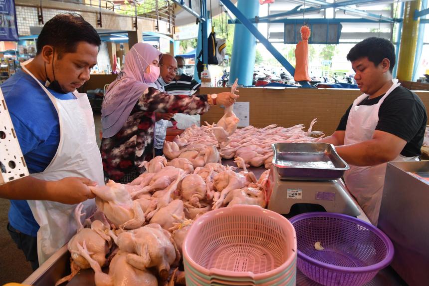 Harga melonjak dan pasokan langka, Malaysia hentikan ekspor ayam 