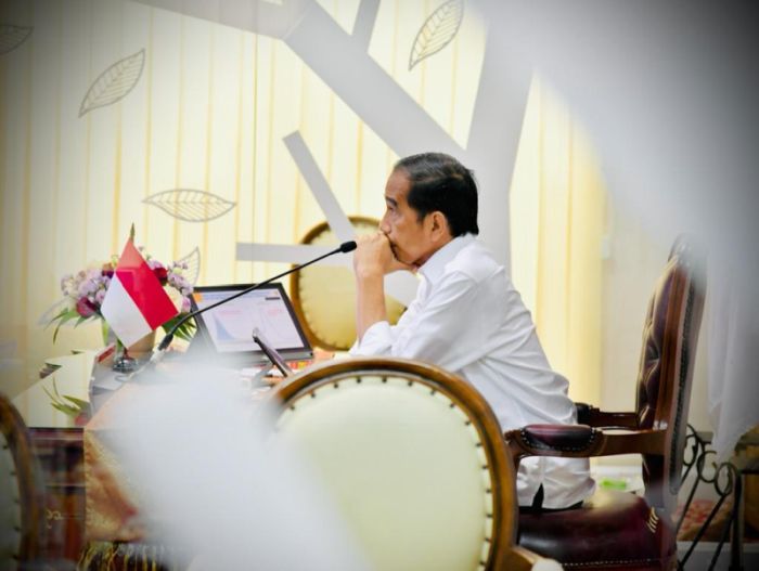 Demokrat nilai kabinet Jokowi tidak harmonis tunjuk Luhut atasi kisruh migor